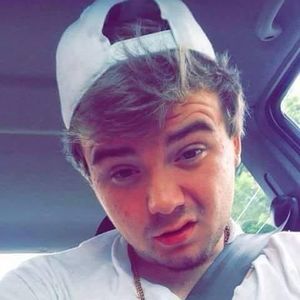 Meet your Posher, Beau